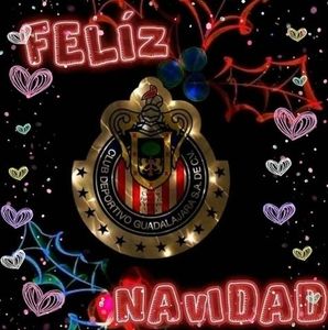 Meet your Posher, Jose luis